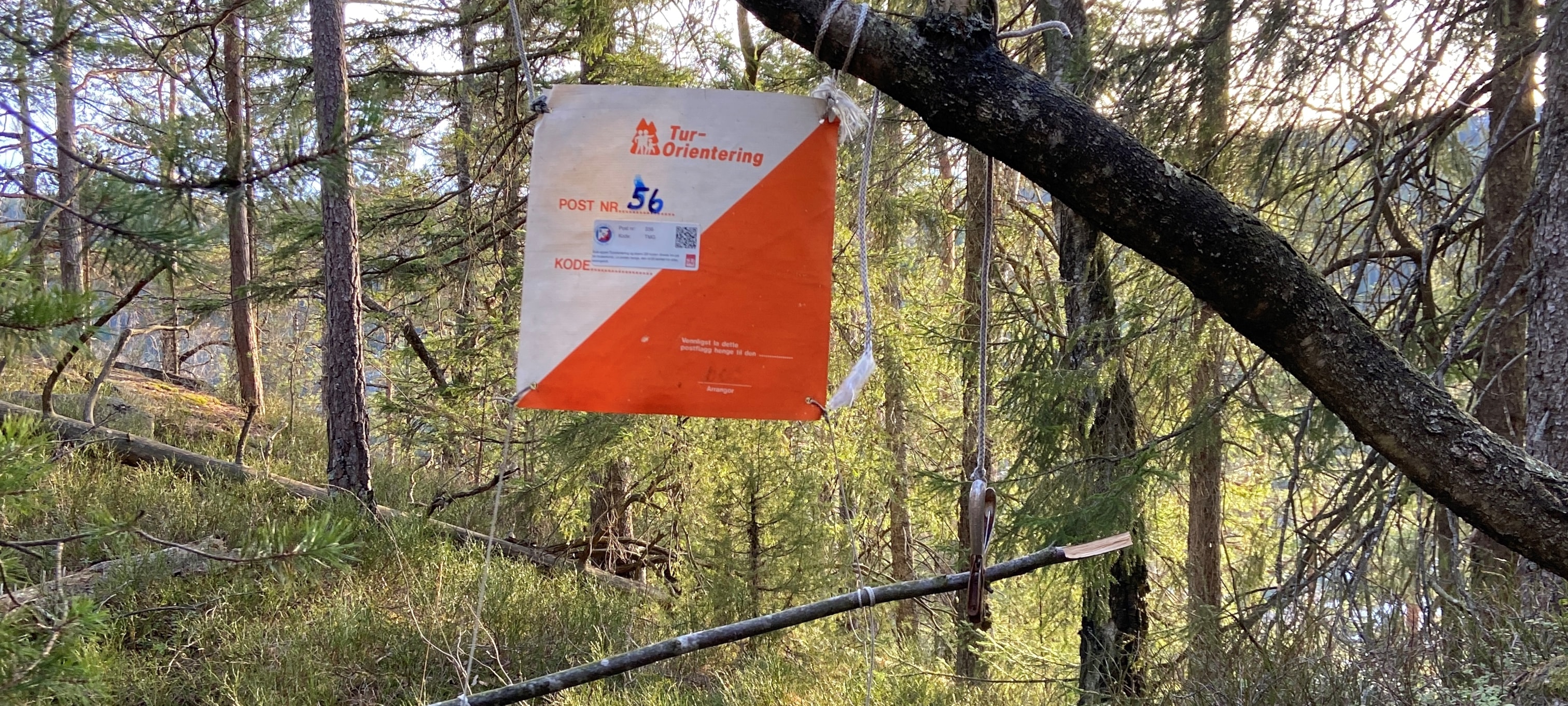 30 Tur-O poster på Ebbestadkollen er nå klare